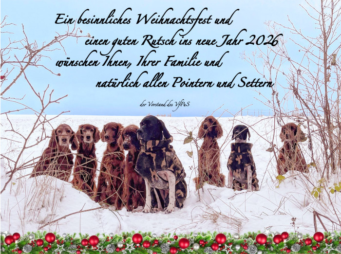 startseite 11 mit text