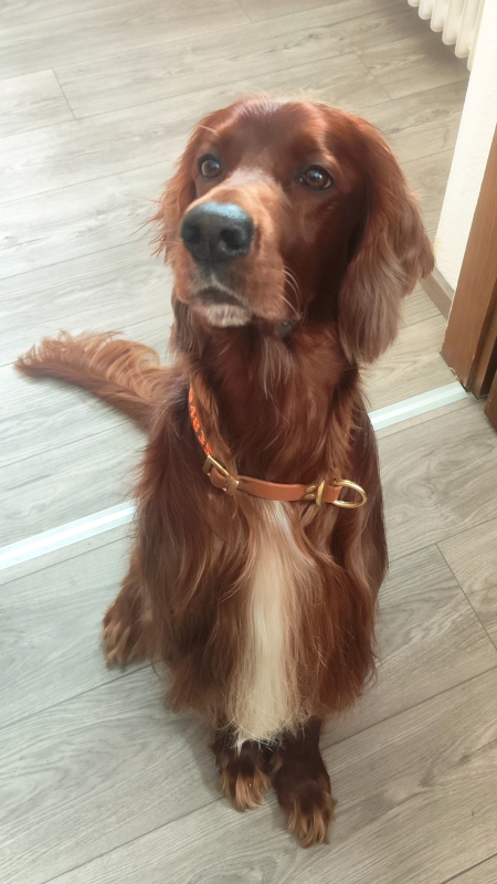 IMG 20260326 133733 111530